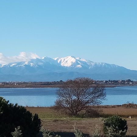 Le Capestang Διαμέρισμα Canet-en-Roussillon Εξωτερικό φωτογραφία