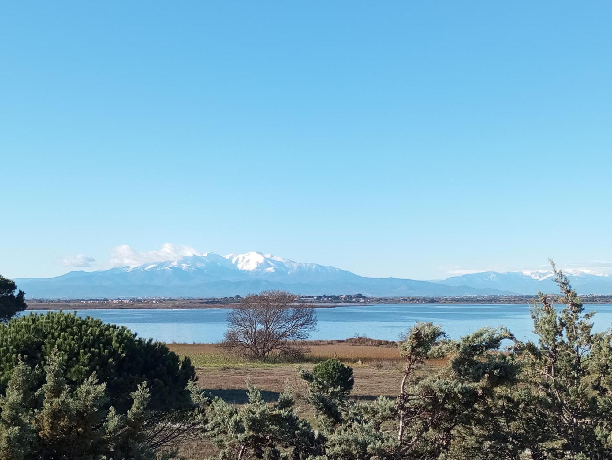 Le Capestang Διαμέρισμα Canet-en-Roussillon Εξωτερικό φωτογραφία